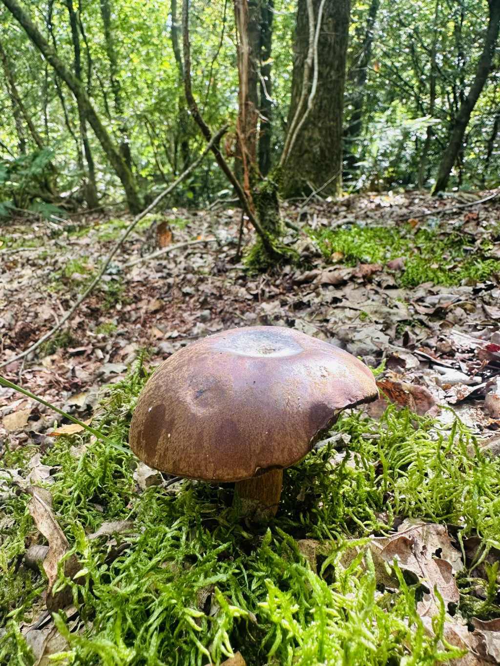 Accept With Love, Release With&nbsp;Gratitude